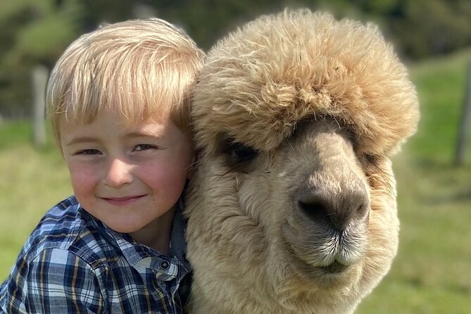 Shamarra Alpaca Farm Tours - The guides make the animal encounter better