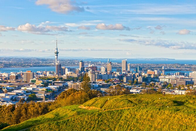 Sheep Shearing and Auckland City Highlights Tour with Lunch - Crossing the Harbour Bridge and entering Auckland