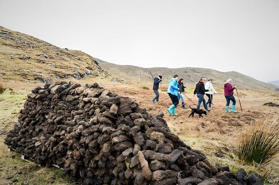 Sheepdog herding demo on working sheep farm. Galway. Guided. - Why the sheepdog demonstration is the highlight