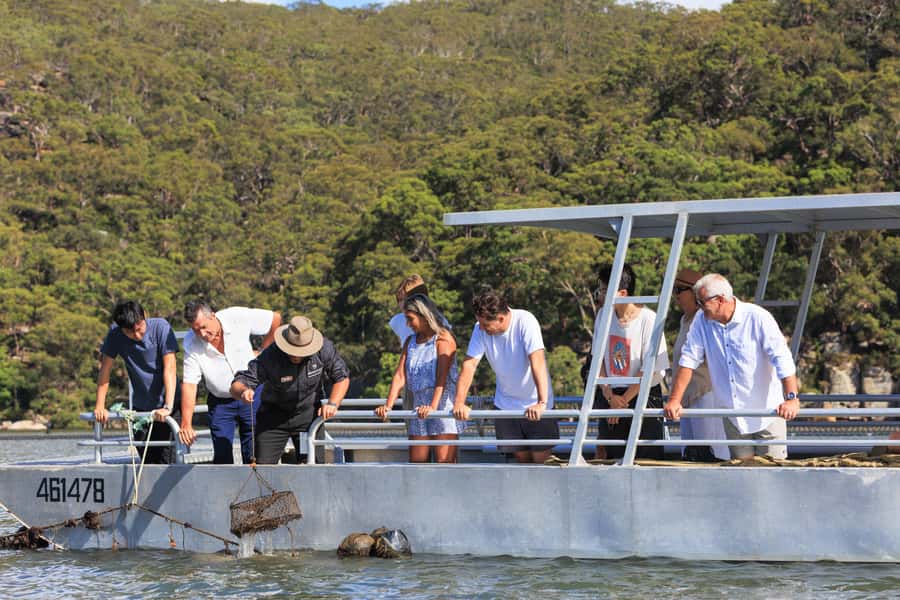 Shell to Showroom - Sydney's only Pearl Farm Experience - Why a Sydney pearl farm is worth your time