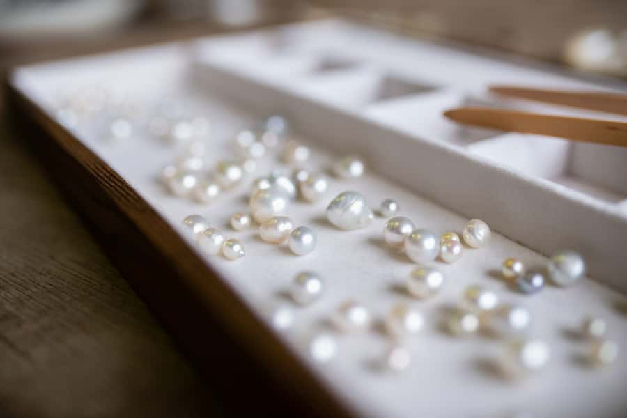 Shell to Showroom - Sydney's only Pearl Farm Experience - Starting at the Shellar Door in Mooney Mooney