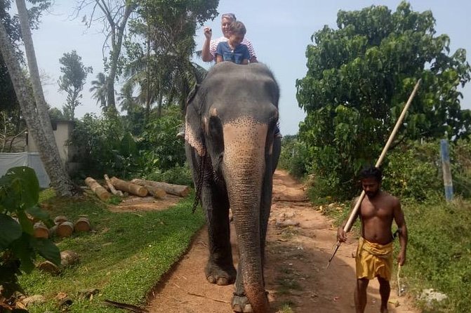 Shore Excursion From Colombo port to Ingiriya Tea Plantation & back for 2 People - Booking details worth confirming