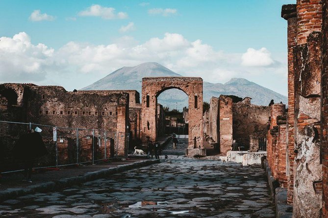 Shore excursion Guided Tour of Pompeii Ruins and Sorrento with a Farmhouse Lunch - Should you book this Pompeii and Sorrento day?