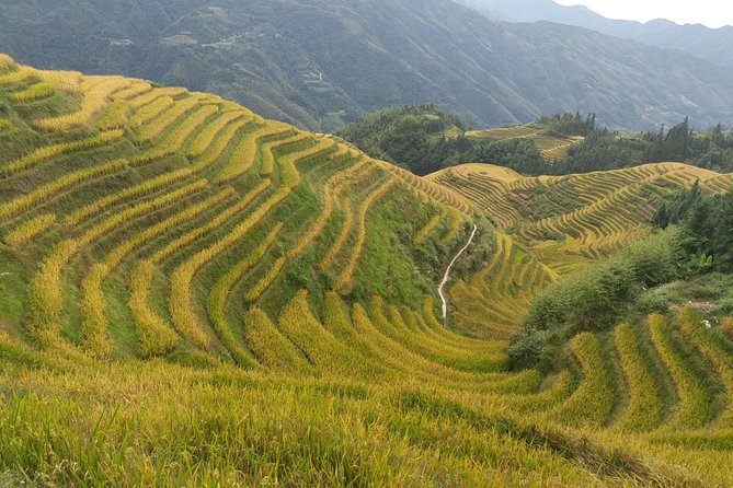 Short Li-River cruise and Longji Rice Terraces Private Day Tour - The long transfer to Longji