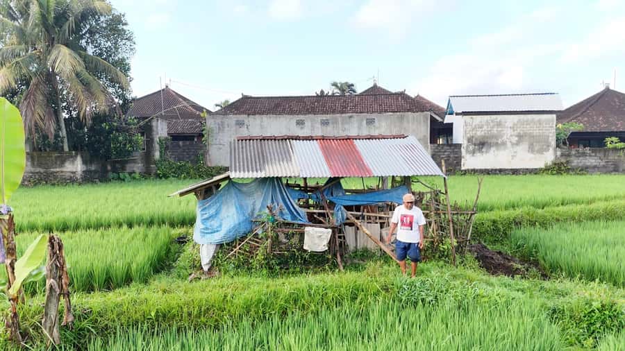 Sidemen rice terraces trek and local village walk - Meeting at Tabola village or your central Sidemen hotel