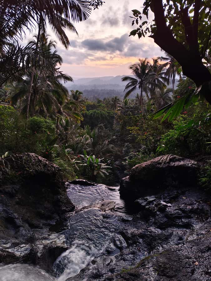 Sidemen: Rice Terraces, Waterfall, & Village Tour - Coffee, herbal tea, and a garden full of flavor
