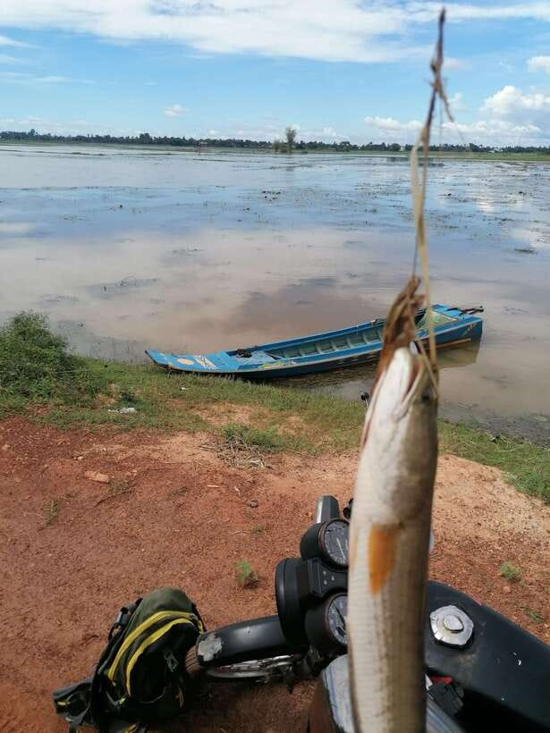 Siem Reap: Fishing in the rice fields, in the villages of Siem Reap - Learning the frog-bait fishing method