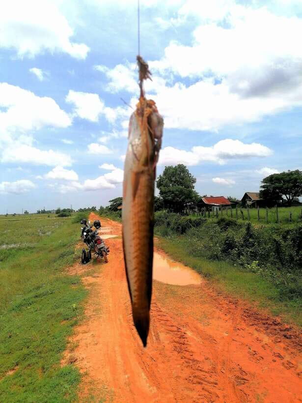 Siem Reap: Fishing in the rice fields, in the villages of Siem Reap - Afternoon fishing and changing locations