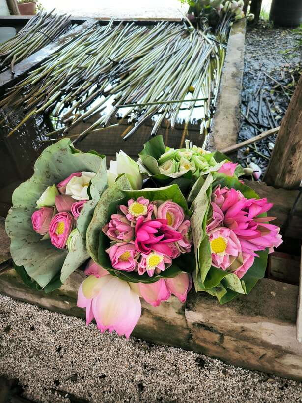 Siem Reap Lotus Silk Farm Discovery tour & Lake experience - Who will enjoy this most