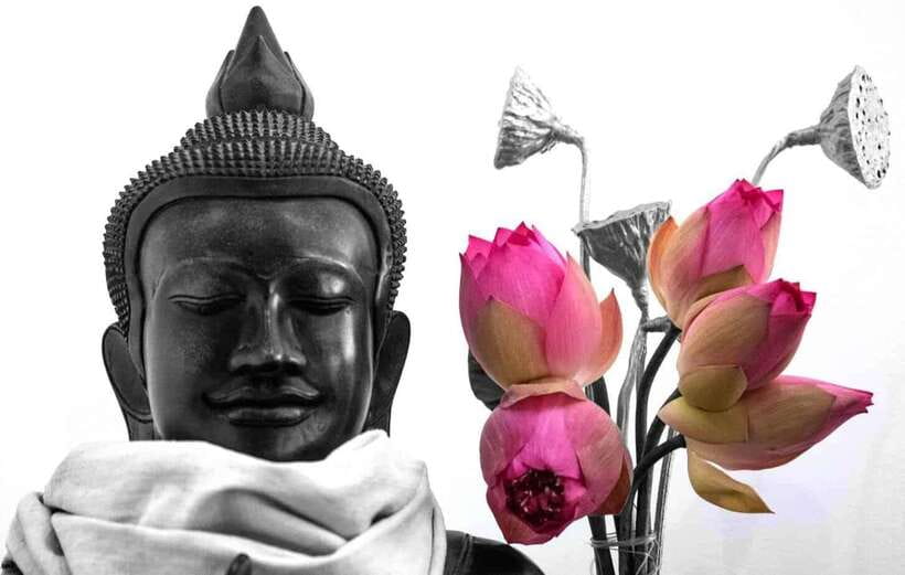 Siem Reap Lotus Silk Farm Discovery tour & Lake experience - Why this lotus farm visit is worth your time