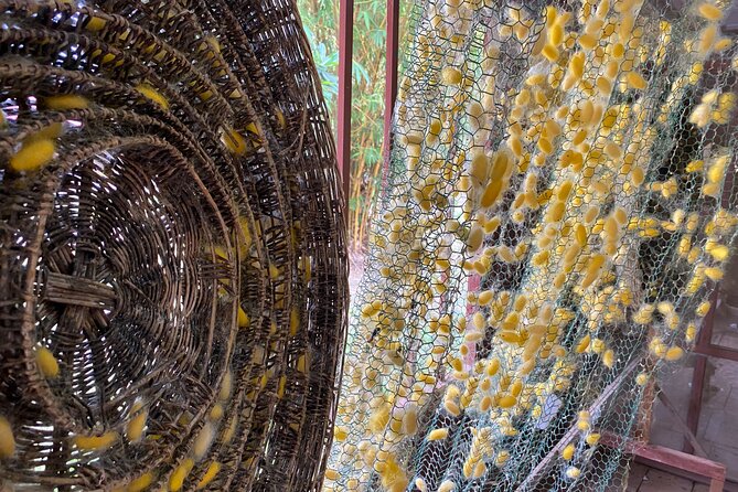 Siem Reap: Silk Farm & Countryside Offbeat Jeep Tour - Buddhist temples beyond the main circuit