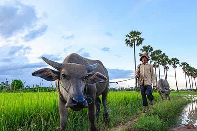 Siem Reap: Silk Farm & Countryside Offbeat Jeep Tour - The war museum and a serious first stop