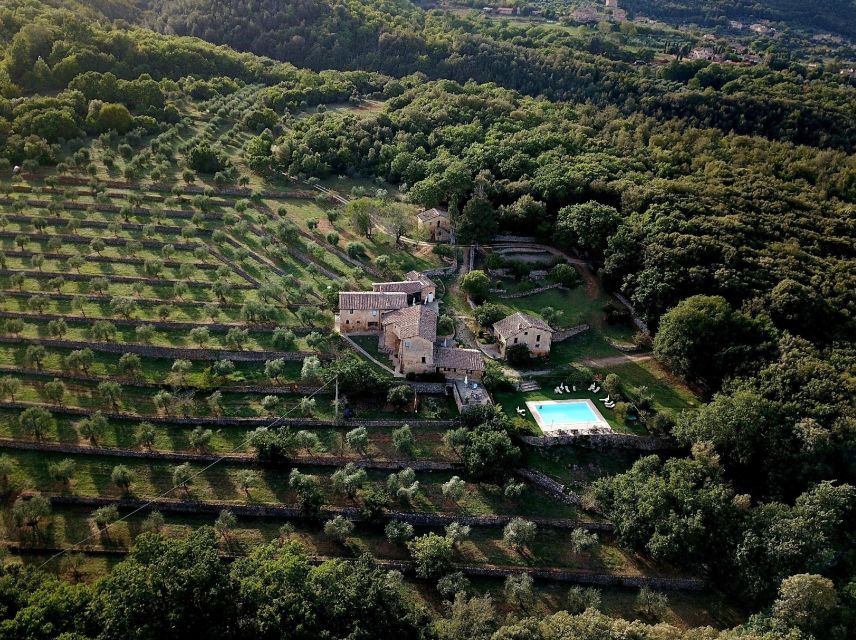 Siena countryside: cooking class in a real Tuscan farmhouse - Should you book the Agriturismo Il Caggio class?