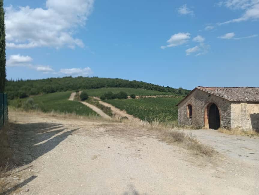 Siena: Small-group Cooking Class in a Chianti Farm - Making pasta, bruschetta, and crostini