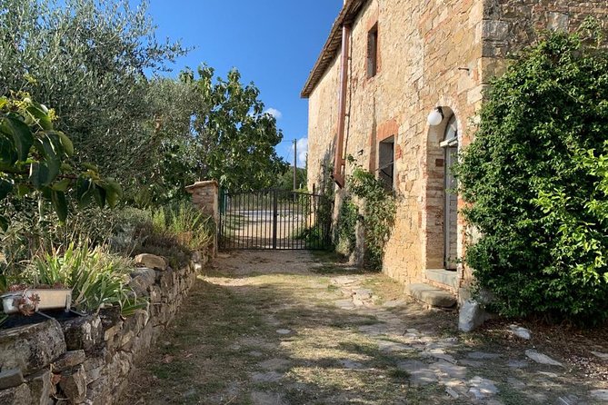 Siena: Small Group Cooking Class in Chianti Farmhouse - What the $130.28 Price Covers