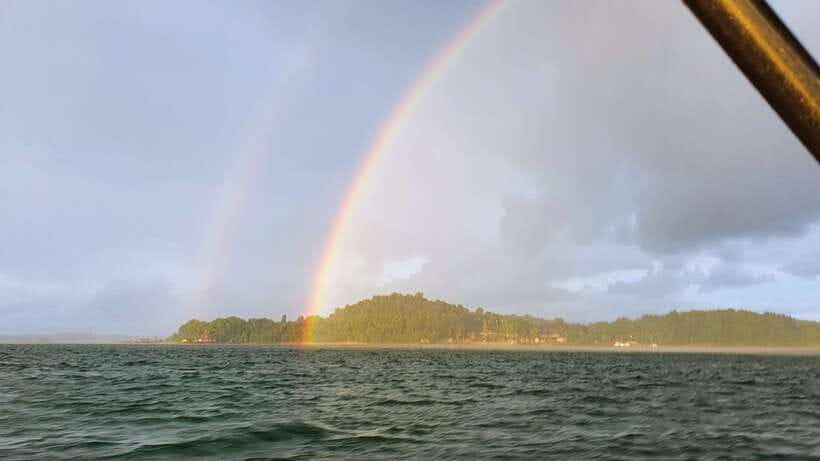 Singapore: Guided Boat Tour and Kelong Fish Farm Visit - Mangroves, channels, and wildlife