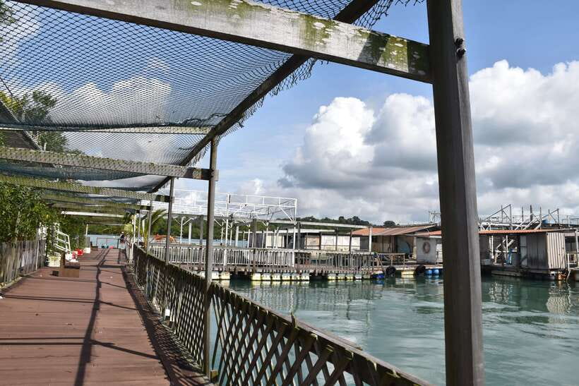 Singapore: Guided Boat Tour and Kelong Fish Farm Visit - What the $225 price really covers