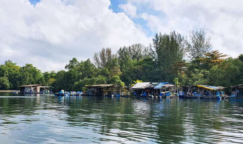 Singapore: Guided Boat Tour and Kelong Fish Farm Visit - Who will enjoy this boat tour most