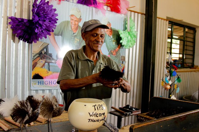Skip the Line: Highgate Ostrich Farm Tour Ticket - The main yard: feathers, eggs, incubators, and young birds