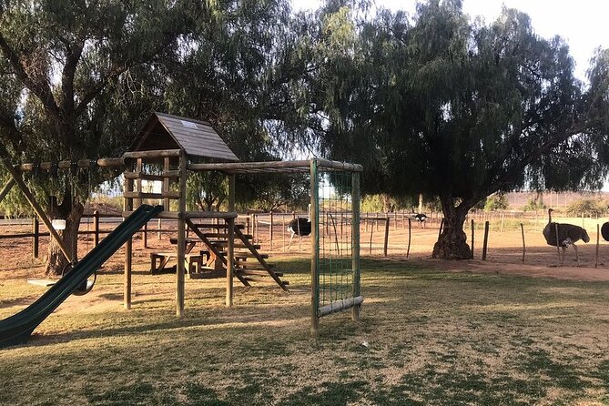 Skip the Line: Highgate Ostrich Farm Tour Ticket - How the $11.28 price measures up