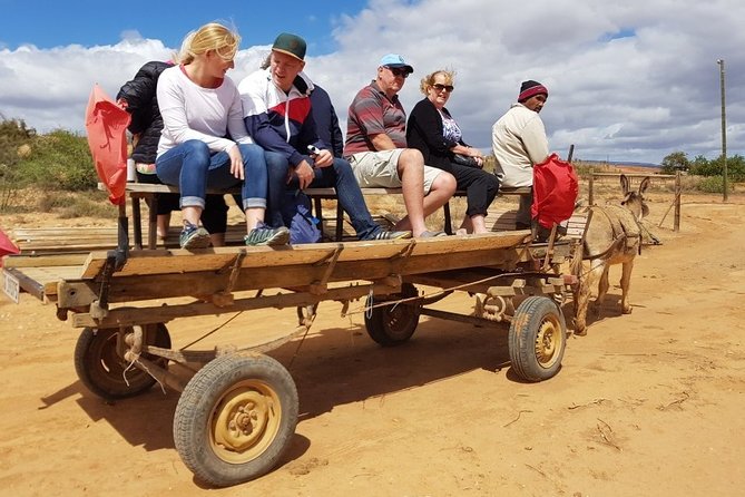 Skip the Line: Highgate Ostrich Farm Tour Ticket - Practical planning for a comfortable visit