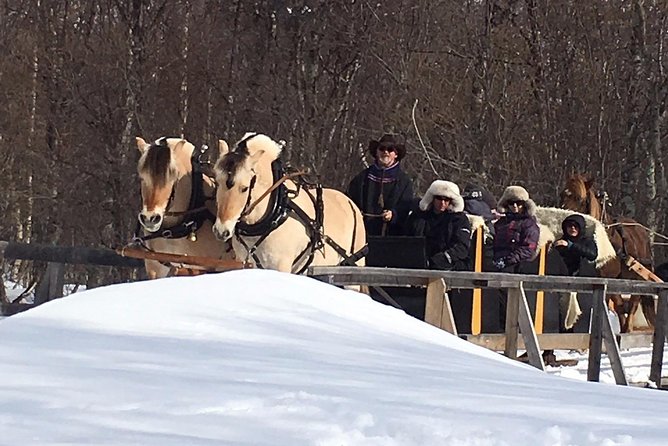 Sleigh Ride w/ snacks - Experience Arctic Farm Life - Leaving Alta for Omdal Gard