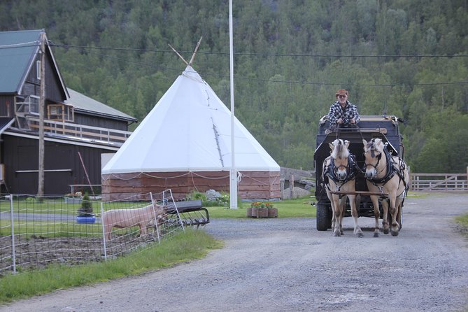 Sleigh Ride w/ snacks - Experience Arctic Farm Life - Meeting the sheep and other farm animals