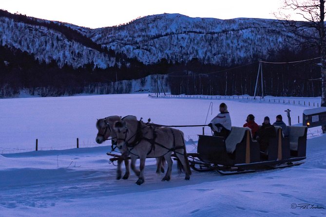 Sleigh Ride w/ snacks - Experience Arctic Farm Life - A private tour with room to slow down