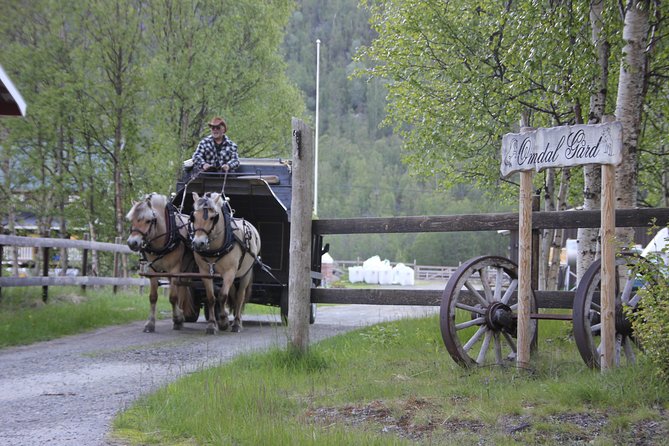 Sleigh Ride w/ snacks - Experience Arctic Farm Life - Who will enjoy this Alta experience most