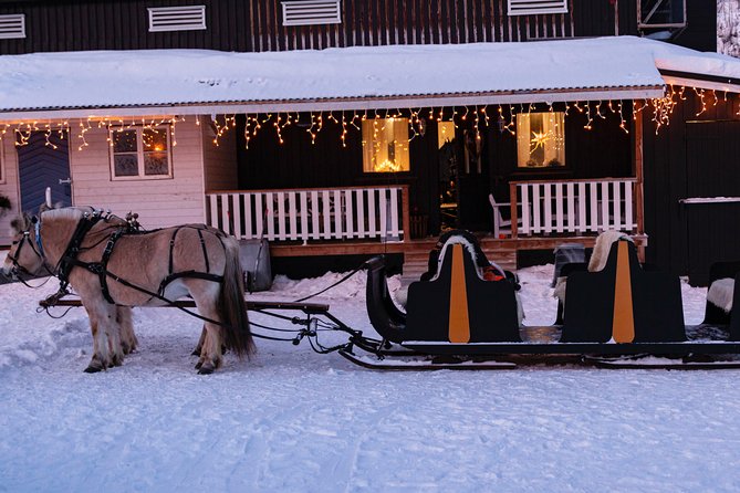 Sleigh Ride w/ Tapas Meal - Experience Arctic Farm Life - Leaving Alta for Omdal Gard