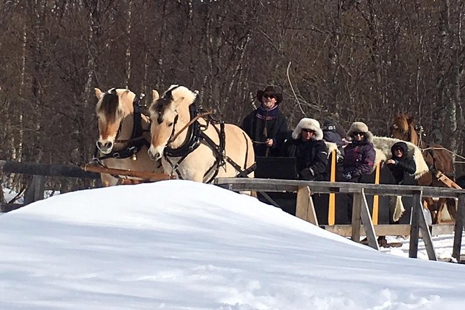 Sleigh Ride w/ Tapas Meal - Experience Arctic Farm Life - Arctic tapas beside a fire in the lavvo