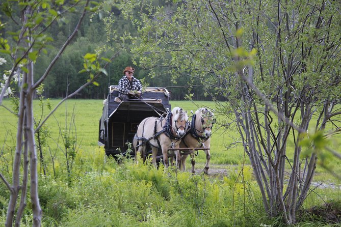 Sleigh Ride w/ Tapas Meal - Experience Arctic Farm Life - What the $236.79 price includes