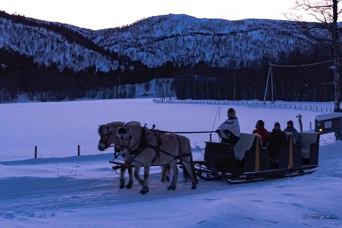 Sleigh Ride w/ Tapas Meal - Experience Arctic Farm Life - Who will enjoy this Alta experience most