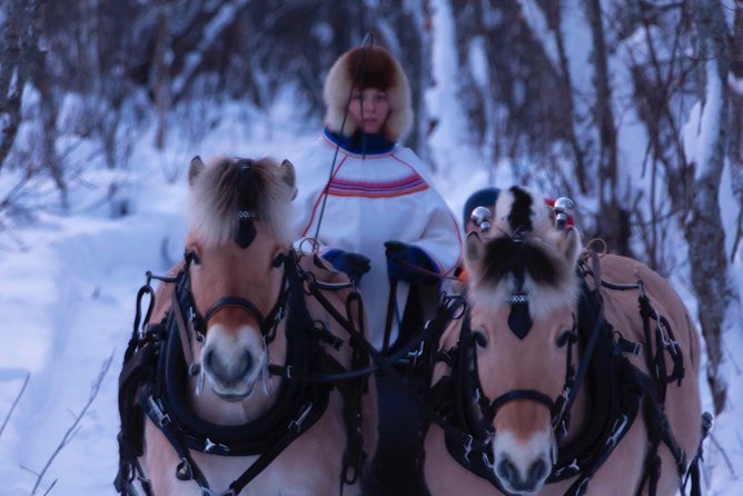 Sleigh Ride w/ Tapas Meal - Experience Arctic Farm Life - The horse-drawn ride through Arctic countryside