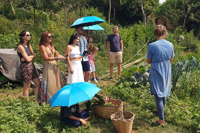 Slowlife Family Farm- Cook with us From Garden to Table Syracuse - The off-grid story behind the food