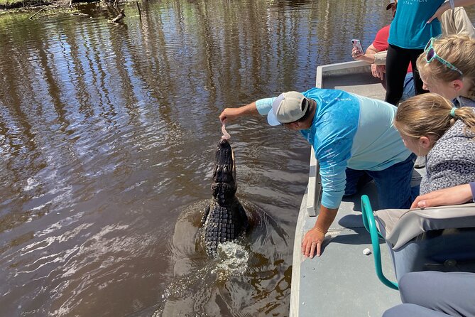Small Airboat and Oak Alley Plantation Tour from New Orleans - Starting early from New Orleans