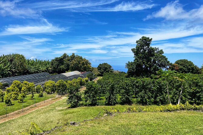 Small-Group Big Island Tour: Hawaii Volcanoes National Park and Kona Coffee Farm - Hawaii Volcanoes National Park is the main event
