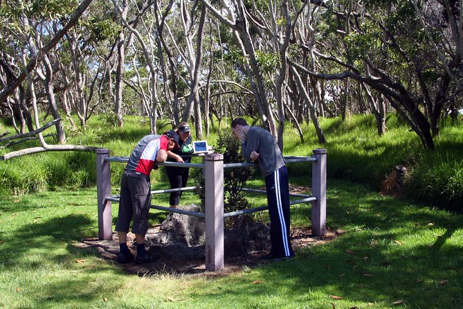 Small-Group Big Island Tour: Hawaii Volcanoes National Park and Kona Coffee Farm - What the small group changes