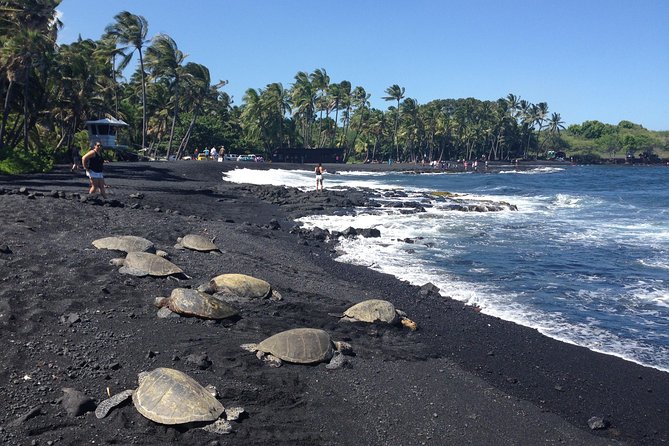 Small-Group Big Island Tour: Hawaii Volcanoes National Park and Kona Coffee Farm - Greenwell Farms puts Kona coffee in context