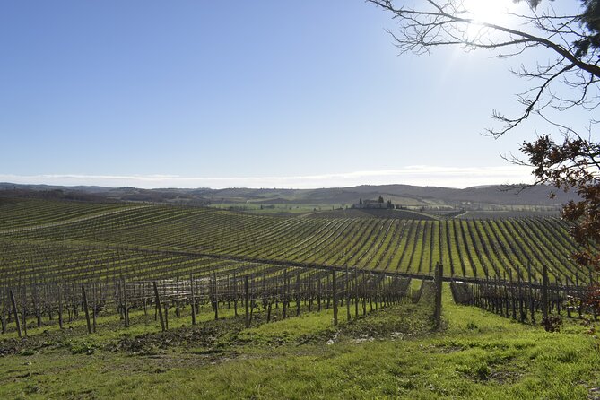 Small Group E-Bike Chianti Tour with farm lunch from Siena - Key things to know before you book