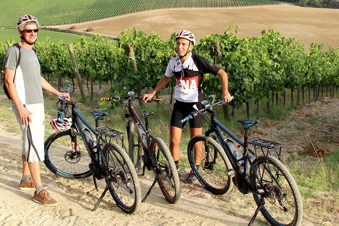 Small Group E-Bike Chianti Tour with farm lunch from Siena - Farm lunch, olive oil, and Chianti wine