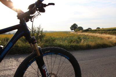 Small Group E-Bike Chianti Tour with farm lunch from Siena