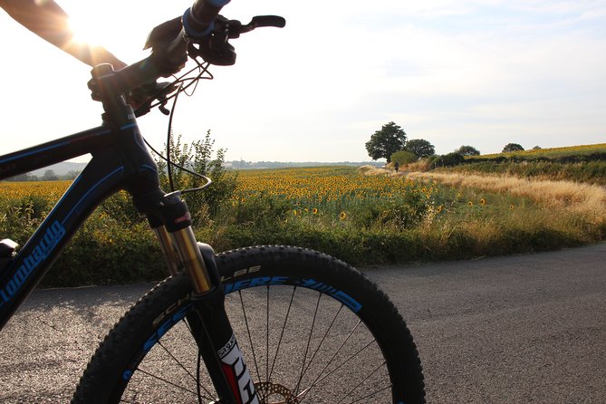 Small Group E-Bike Chianti Tour with farm lunch from Siena - Monteriggioni, a small fortress with a big presence
