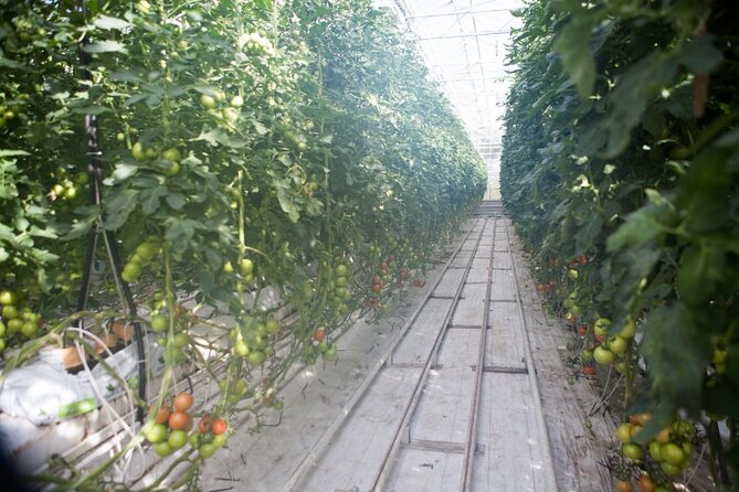 Small Group Golden Circle with Kerid Crater & Tomato Farm Visit - Kerid Crater: a colorful final stop