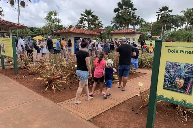 Small Group-Oahu Tour, Dole Plantation, Northshore, Sunset Beach - Waimea Bay and the North Shore surf
