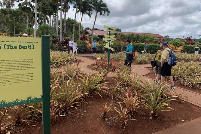 Small Group-Oahu Tour, Dole Plantation, Northshore, Sunset Beach - Sunset Beach shows why the North Shore is famous