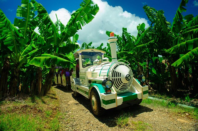 Small train tour of a banana farm in Martinique - Rain, comfort, and practical planning