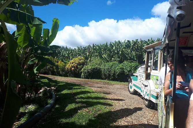 Small train tour of a banana farm in Martinique - What the one-hour train ride includes