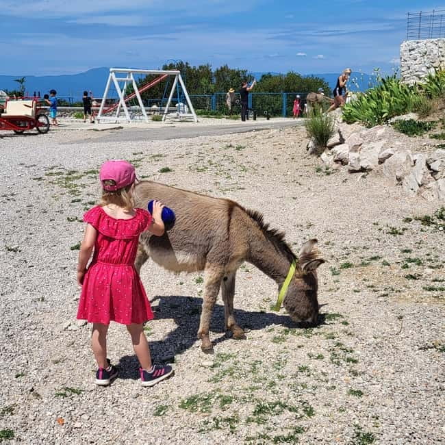 Šmrika (near Rijeka/Krk/Crikvenica) Donkey Farm Family Fun - Meeting donkeys above Kvarner Bay