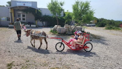 Šmrika (near Rijeka/Krk/Crikvenica) Donkey Farm Family Fun